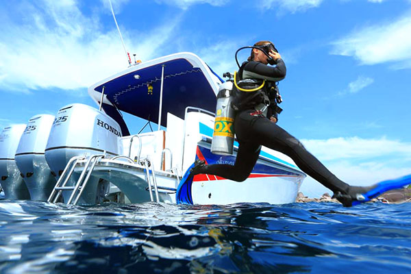 Big Blue Diving - Day Tours