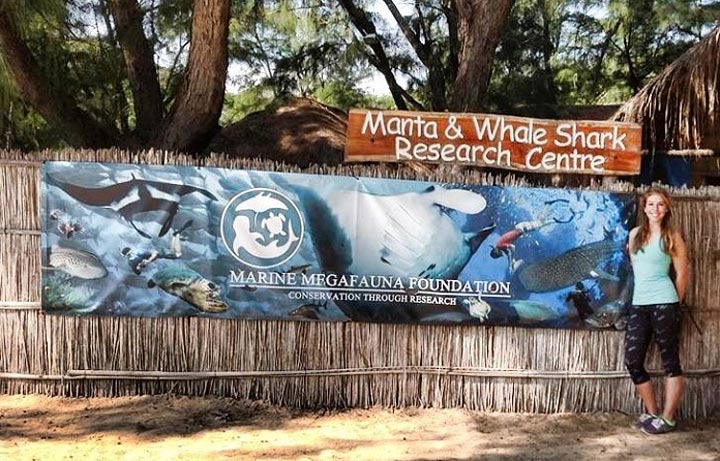 Anna Flam Mant Ray research manager Marine Megafauna Foundation
