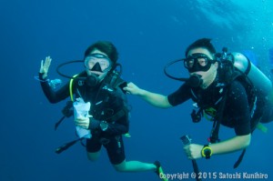 Scuba Diving Wedding Proposal
