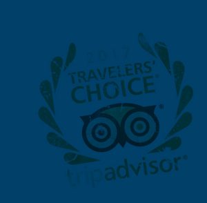 Trip Advisor grunge logo