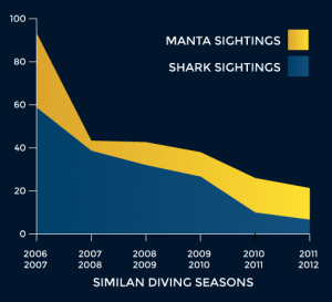 Shark sightings in the Similan Islands