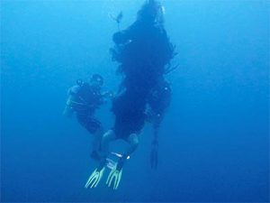 Big Blue divemasters removing fishing net from Richelieu Rock