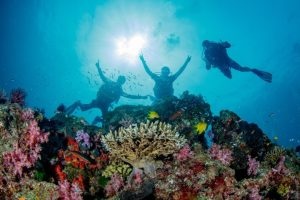Diving in the Similan Islands