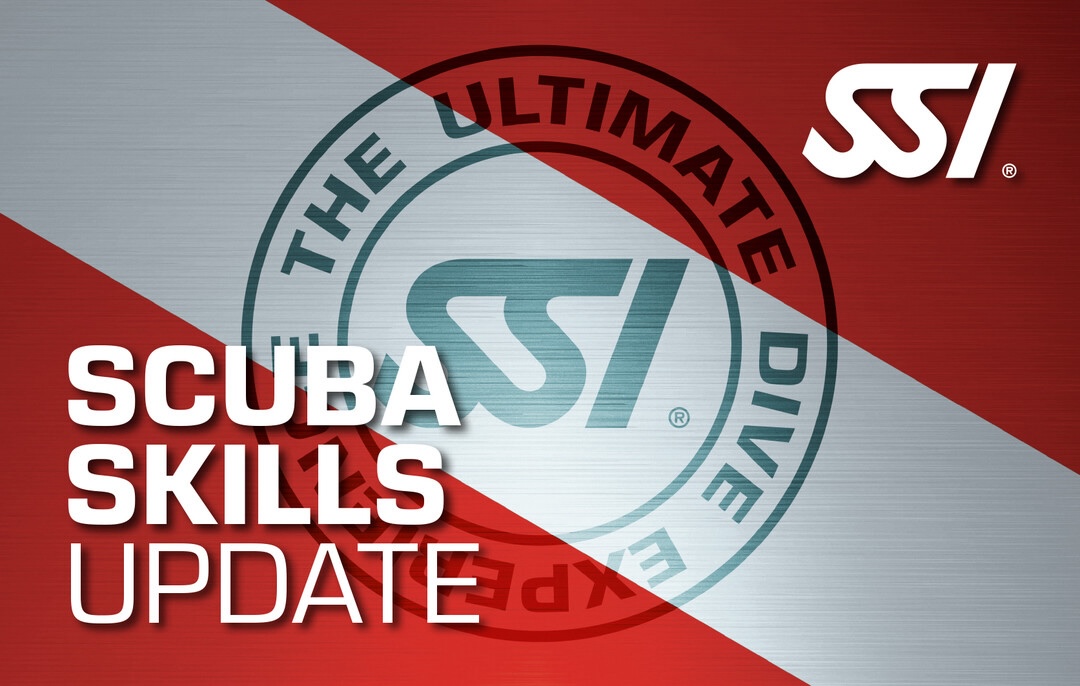 scuba skills update banner