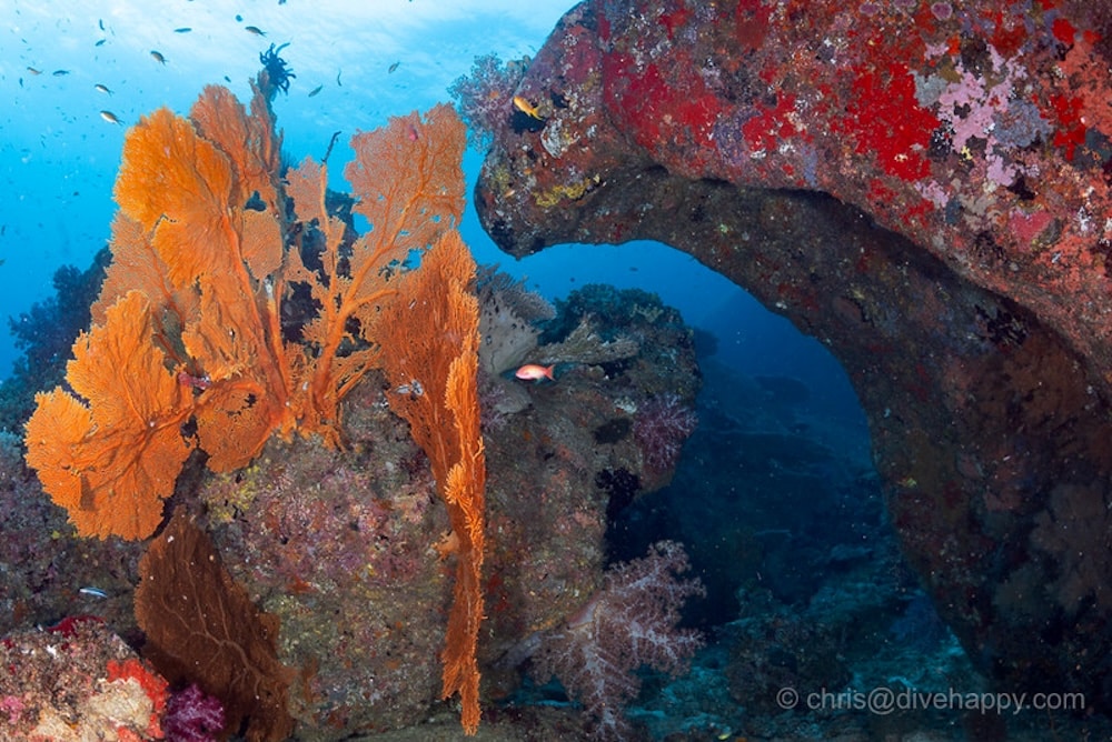 Rocks and fans at Christmas Point Similan dive site ©Chris Mitchell